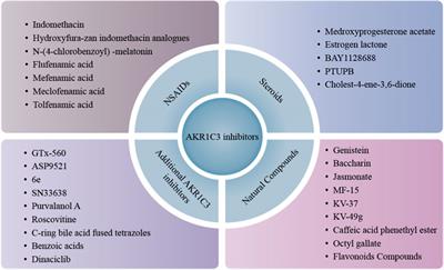 AKR1C3 in carcinomas: from multifaceted roles to therapeutic strategies